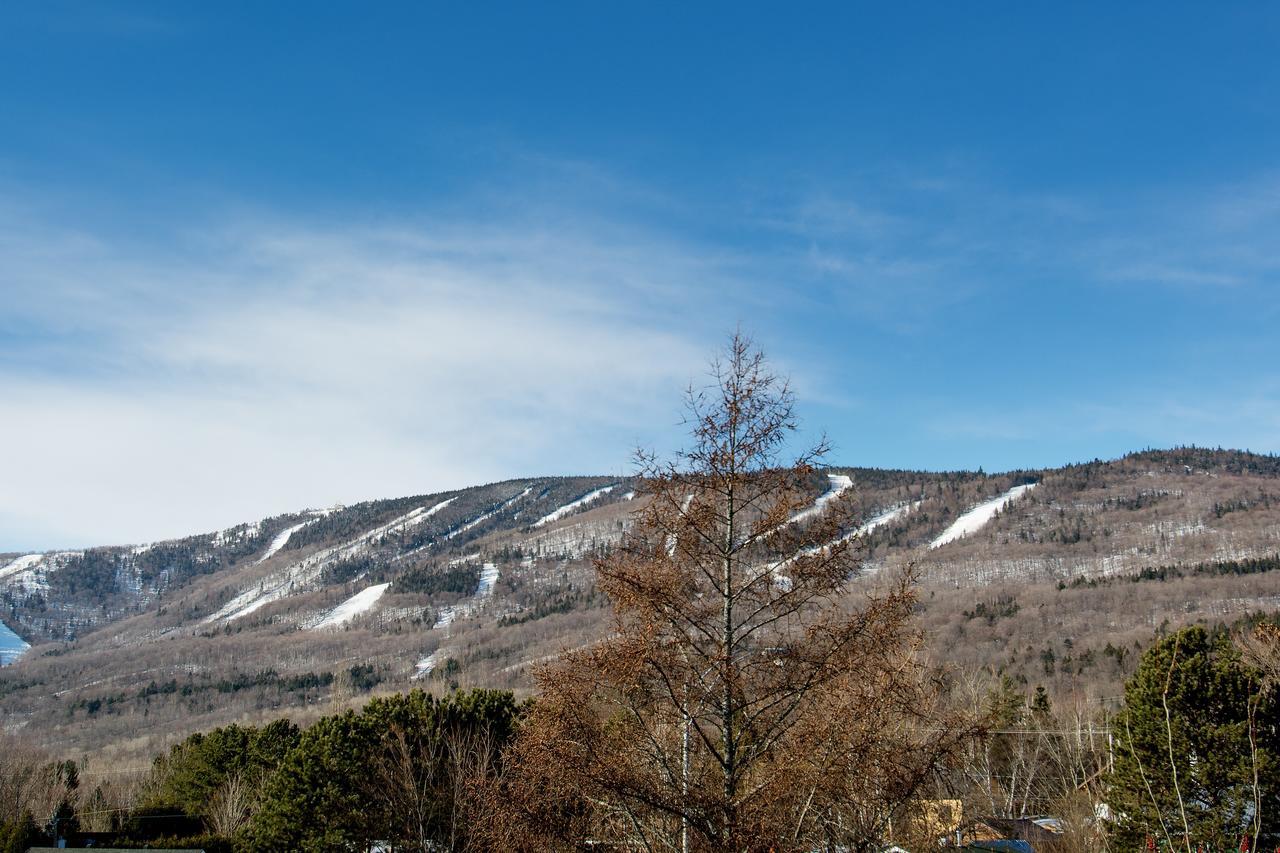 Le Vallon Saint-Ferreol-les-Neiges Bagian luar foto